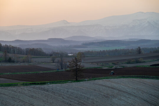 春の美瑛町 早朝の丘と十勝岳連峰 © TATSUYA UEDA