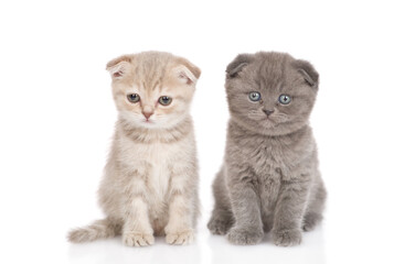 Two kittens sit together in front view and look at camera. isolated on white background