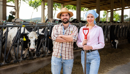 Smiling woman and man farmers standing near cow on background at farm