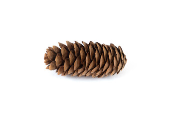 Pine tree cone isolated on white. Christmas decoration.