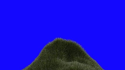 Fototapeta na wymiar Simulation of green grass or lawn on a blue chroma key background. 3d rendering image. Collage footage.