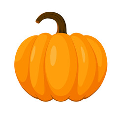 Bright beautiful pumpkin on a white background. Autumn vegetables.