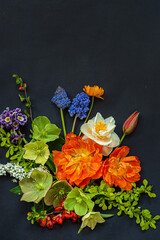 Fototapeta premium spring flowers on the black background