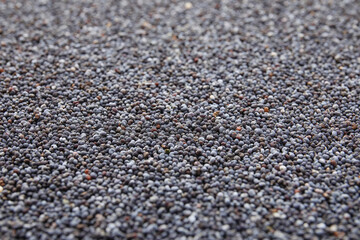 Texture of poppy seeds as background