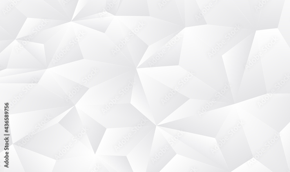 Poster abstract white gray polygon for background. abstract gray background low poly textured triangle shap