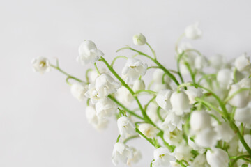 Beautiful lily-of-the-valley flowers on light background, closeup