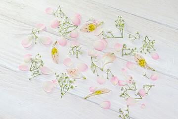 Pink rose petals and small white flowers on a light wooden background. Beautiful summer, spring background for postcards, design.