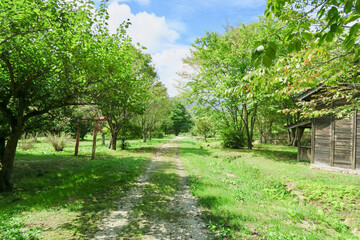 遠野ふるさと村