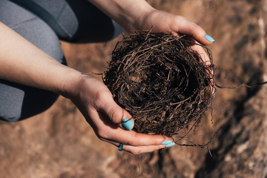 Female hands holding a fragile empty bird's nest, view from above on sunny day. Concept of empty nest syndrome