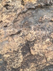 Rough Stone Texture 