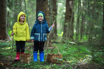 Children go to the forest for mushrooms