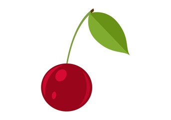 One cherry with leaf closeup. HVector graphics on a white background.