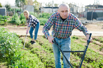 Man gardener using plow at land with green grass in greenhouse