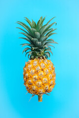 Fresh Pineapple on blue background 