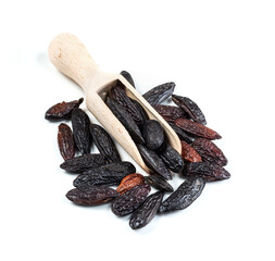 wooden scoop on pile of dried tonka beans on white