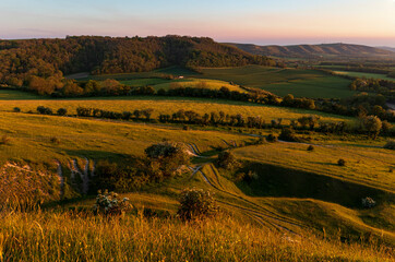 Fototapeta premium Evening golden hour from the top of Wolstonbury Hill South Downs West Sussex, south east England UK