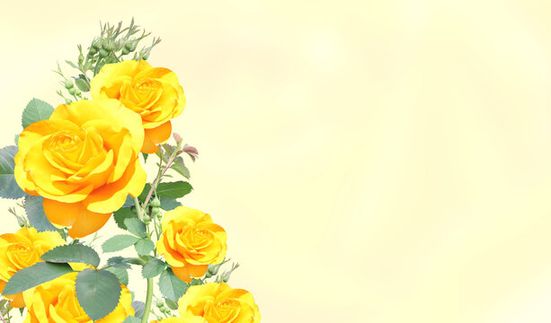 Yellow Rose Border Images – Browse 24,988 Stock Photos, Vectors, and Video  | Adobe Stock