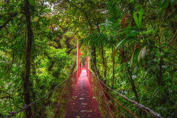 Red suspension bridge in Monteverde Cloud Forest, Costa Rica