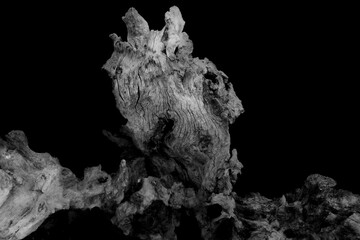 A Decayed Section of a Tree Stump, Showing Close Detail to the Outline of the Old Wood with a Dried and Crackled Texture.