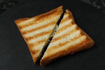 Tray with tasty grilled sandwich, close up