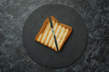Tray with grilled sandwich on black smokey background