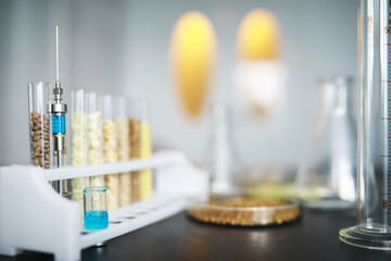 Research Analyzing Agricultural Grains And seeds In The Laboratory. Test tubes with seeds of selection plants.