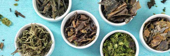 Edible seaweed panorama, overhead flat lay shot