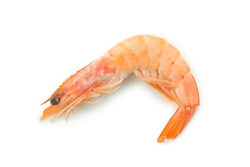 Tasty cooked shrimp isolated on white background