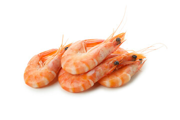 Tasty cooked shrimps isolated on white background