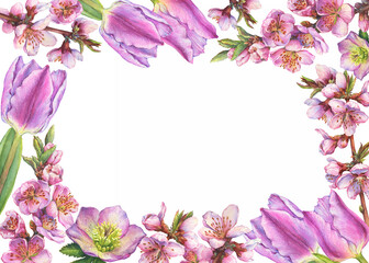 Floral banner, frame with pink sakura flower, hellebore, tulip for decoration, greeting card, invitation. Watercolor hand drawn painting illustration isolated on a white background.