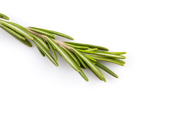 Fototapeta premium rosemary isolated on white background
