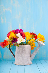 Bouquet of multi-colored freesias in a watering can © Elena Blokhina