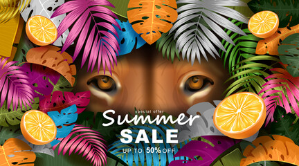 Summer banner template with Tropical leaves.