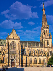 Obraz premium New Cathedral or Cathedral of the Immaculate Conception or St. Mary Church in Linz, Austria