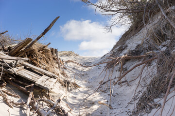 big old log lying in the water at the beach with white sand