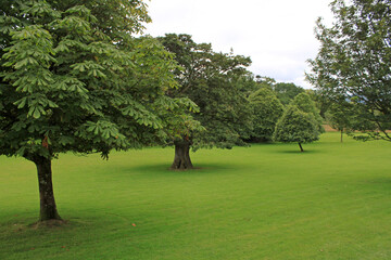 parco cittadino