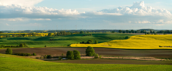 Obraz premium Blooming rapeseed, windmills and storm clouds - panorama of the agricultural landscape of Germany