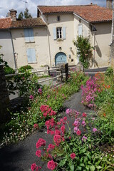 Fototapeta na wymiar street in the village with pink wild flowers in Vendée, france