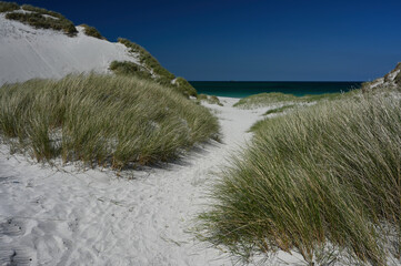 West Beach, Berneray, Outer Hebrides, Scotland. Path through sand dunes on approach to beach, sea in background with horizon. Dune grass, white sand. Sunny day with blue sky, no cloud. No people.