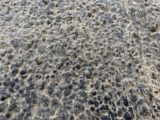 Gray beige stone wall background. Dark grey rock texture. Stony pimples on rock surface.