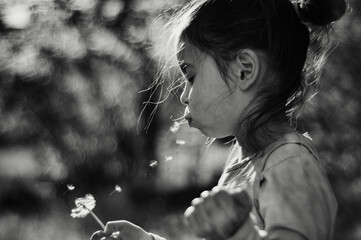 girl child blowing on a dandelion flying seeds black and white