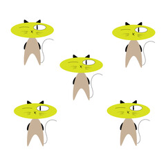 Kittens in a cartoon style. Vector illustration.