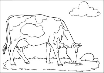 Hand drawn cow. Sketch vector illustration