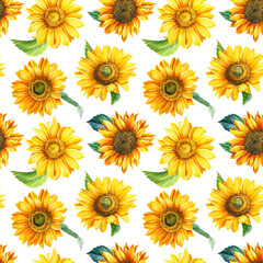 Fototapeta premium Floral Seamless pattern. Flowers sunflowers on a white background, hand-drawn. Watercolor illustration