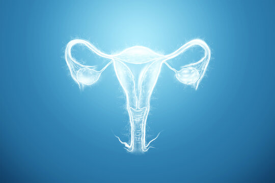 Hologram of the female organ of the uterus on a blue background. Ultrasound concept, gynecology, obstetrics, ovulation, pregnancy. 3D illustration, 3D render.