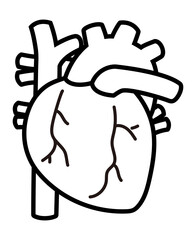 心臓