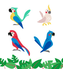 Collection of cute exotic macaw and ara parrots and tropical leaves isolated on white background. Vector flat illustration.