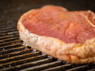 grilled meat, cooking