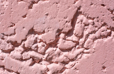 coral plaster old wall horizontal image