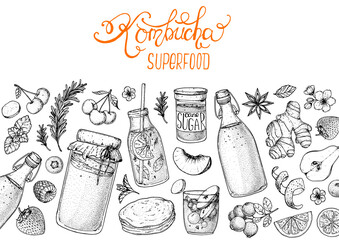 Kombucha tea and ingredients for kombucha sketch. Hand drawn vector illustration. Kombucha drink. Tea mushroom, tea fungus, or Manchurian mushroom.